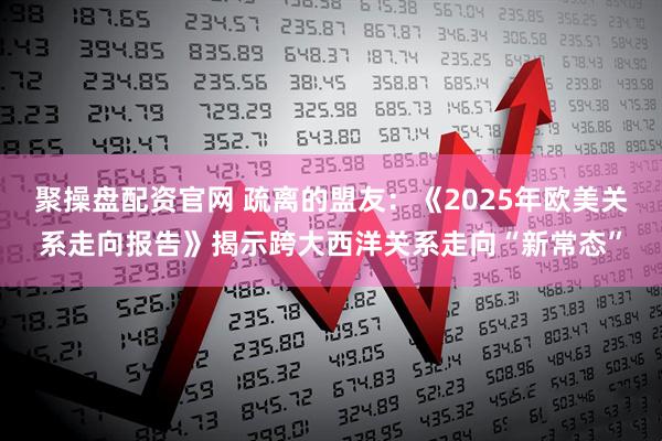 聚操盘配资官网 疏离的盟友：《2025年欧美关系走向报告》揭示跨大西洋关系走向“新常态”