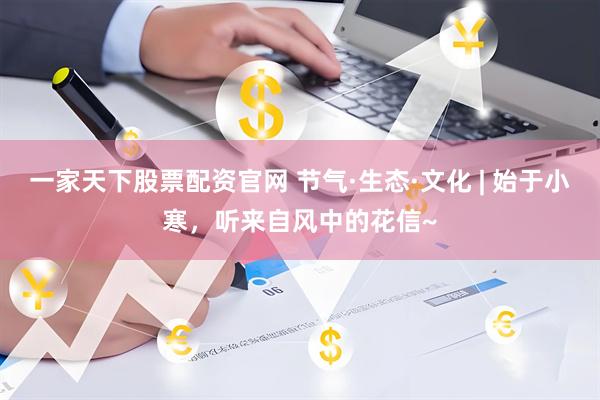 一家天下股票配资官网 节气·生态·文化 | 始于小寒，听来自风中的花信~